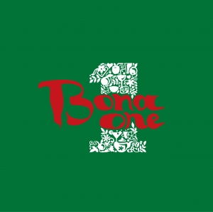 Bonaone logo 02